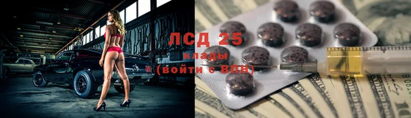 стафф Зеленокумск