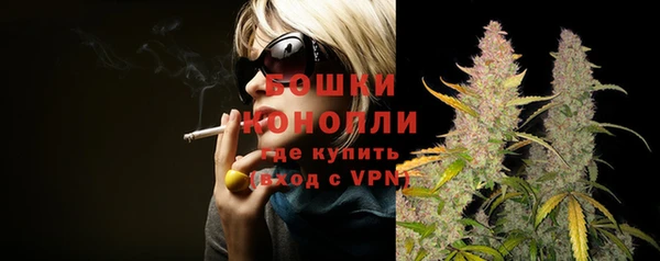 PSILOCYBIN Заволжск