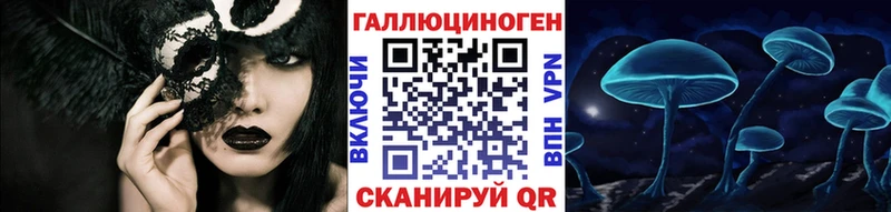как найти   Северодвинск  Псилоцибиновые грибы Cubensis 